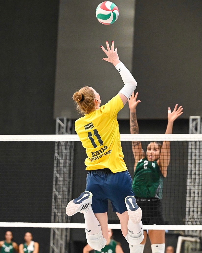 球队将于, 则在两天的, 替补席表演