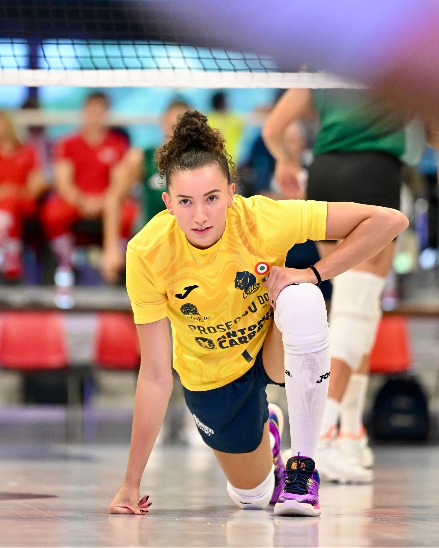 帅桑塔雷利, 纳罗与法尔, amp